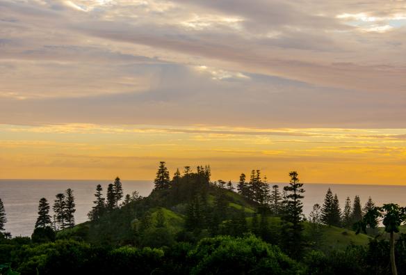 Lever du soleil au-dessus d'une colline ornée de pins à Norfolk Island © Bare Kiwi