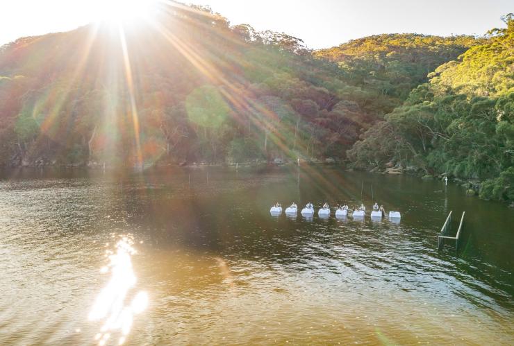 Une vue aérienne de couples debout devant des petites tables dans l'eau avec Sydney Oyster Farm Tours, Mooney Mooney, Nouvelle-Galles du Sud © Tourism Australia