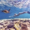 Plongée avec masque et tuba avec une tortue à Ningaloo Reef, WA © Australia's Coral Coast