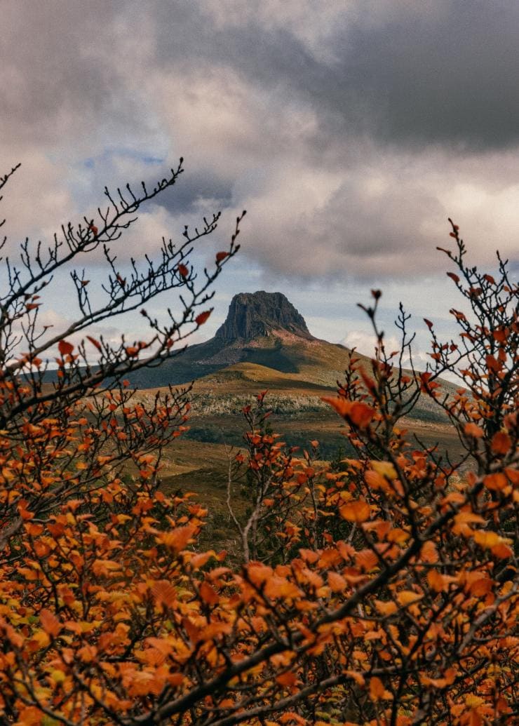 Overland Track, Barn Bluff, Cradle Mountain-Lake St Clair National Park, TAS © Matty Eaton