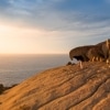 Remarkable Rocks, Kangaroo Island, Australie du Sud. © South Australian Tourism Commission