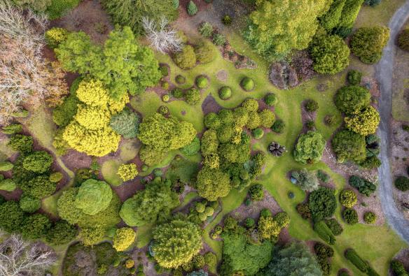 Pemandangan dari atas sebuah taman, Sequoia Lodge, Crafers, South Australia © Tourism Australia