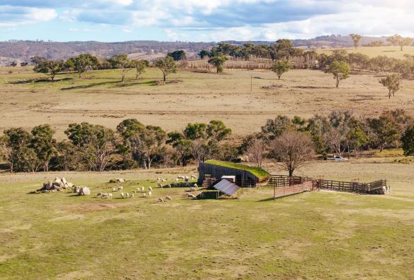 Pemandangan Wilga Station, Bathurst, New South Wales © Tourism Australia