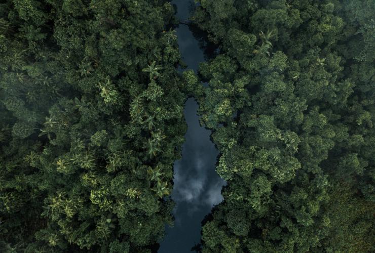 Pemandangan dari udara Daintree Rainforest, Queensland © Melissa Findley/Tourism Australia