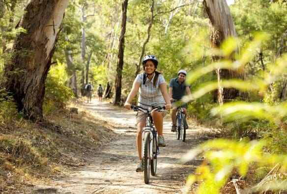 Orang-orang bersepeda di sepanjang jalan setapak menyusuri hutan hijau di Grampians, Victoria © Visit Victoria 