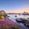 Jacarandas dan Sydney Harbour saat matahari terbenam, Sydney, NSW © Destination NSW