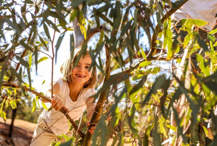 Seorang anak perempuan mengintip dari balik dedaunan pohon sambil tersenyum di Rawnsley Park Station, Flinders Ranges, South Australia © South Australian Tourism Commission