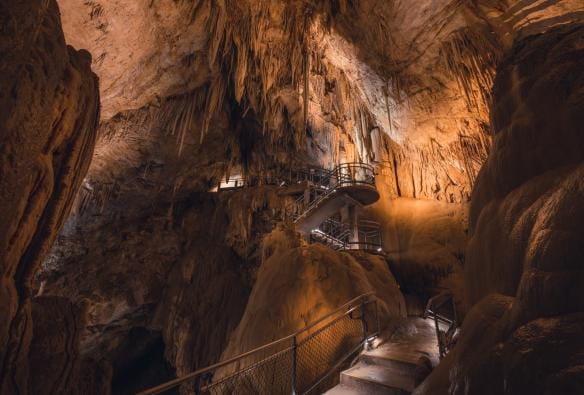 Newdegate Cave, Hastings Caves and Thermal Springs, Huon Valley, Tasmania © Jess Bonde