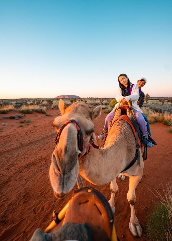 Dua orang sedang menunggang unta dengan Uluru sebagai latar belakangnya saat tur bersama Uluru Camel Tours, Uluru-Kata Tjuta National Park, Northern Territory © Tourism NT/Ayane Motomitsu 