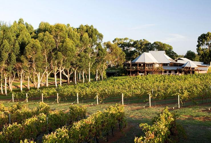 Perkebunan anggur dan ruang cicip wine saat matahari terbenam, Vasse Felix vineyard, Cowaramup, Western Australia © Vasse Felix
