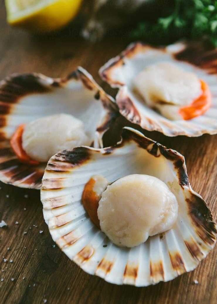 Kerang segar dalam cangkang di atas meja kayu, Mures Lower Deck, Hobart, Tasmania © Mures Lower Deck