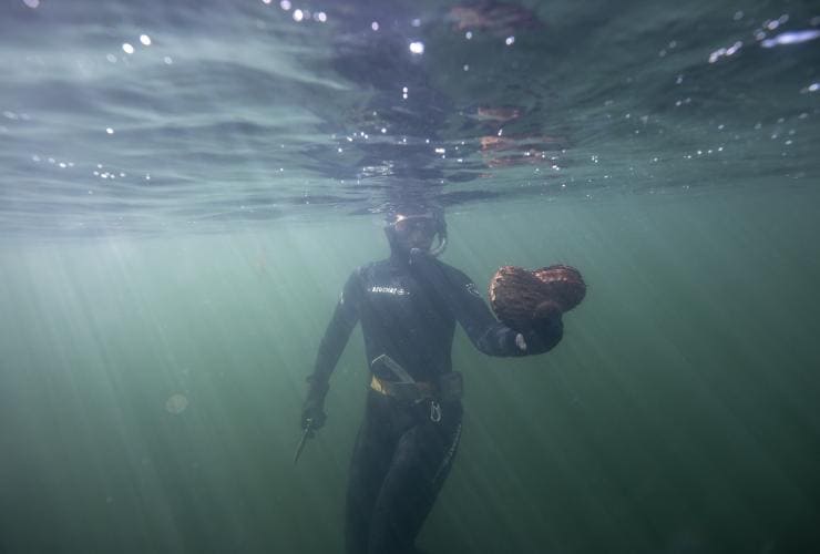 Seseorang di bawah air di samudra mengenakan snorkel dan memegang abalone besar, Seafood Seduction, Hobart, Tasmania © Daniel Tran