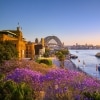 Jacarandas dan Sydney Harbour saat matahari terbenam, Sydney, NSW © Destination NSW