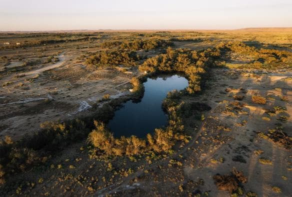 Dalhousie Springs, Flinders Ranges & Outback, SA © South Australian Tourism Commission