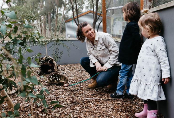 Seorang penjaga kebun binatang memberi makan margasatwa sambil berbicara dengan dua anak, Royal Mail Hotel, Grampians, Victoria © Emily Weaving