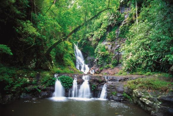 Seseorang berjongkok di antara dua air terjun yang mengalir di atas dan di bawahnya, dikelilingi oleh pepohonan hijau di Elabana Falls, Lamington National Park, Queensland © Tourism and Events Queensland