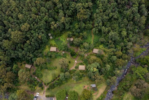 Pemandangan dari udara tenda-tenda glamping yang tersebar di antara padang semak di Nightfall Camp, Lamington National Park, Queensland © Tourism and Events Queensland