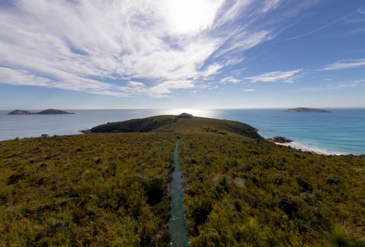 Jalan lurus yang membentang tepat di tengah-tengah lanskap yang dikelilingi oleh semak belukar dan mengarah ke pesisir pantai yang berwarna biru cerah di Tongue Point - Wilsons Promontory National Park, Victoria © Mark Watson, Visit Victoria