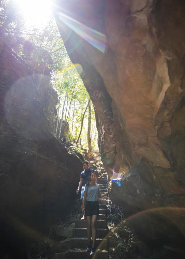 Grand Canyon Walking Track, Blue Mountains, NSW © Destination NSW