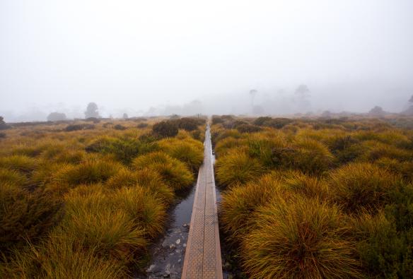 Cradle Mountain Signature Walk, Cradle Mountain-Lake St Clair National Park, TAS © Tasmanian Walking Company/Great Walks of Australia