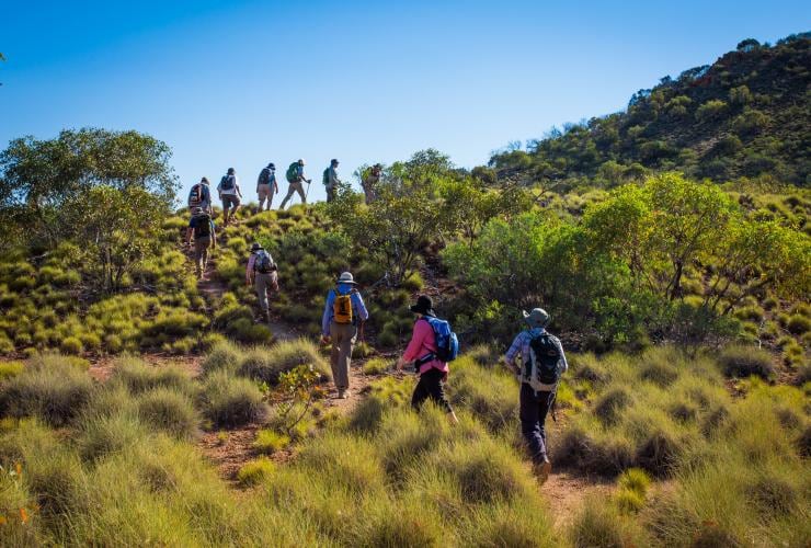 Larapinta Trail oleh World Expeditions, West MacDonnell Ranges, NT © World Expeditions / Great Walks of Australia