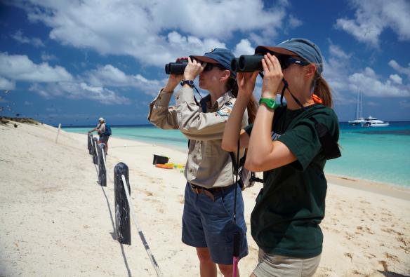 Dua orang mengamati burung di sebuah pulau karang berpasir dengan teropong, Michaelmas Cay, Great Barrier Reef, Queensland © Tourism Australia