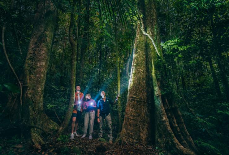 Grup tur menggunakan senter di hutan hujan saat tur bersama FNQ Nature Tours, Daintree Rainforest, Queensland © Tourism and Events Queensland