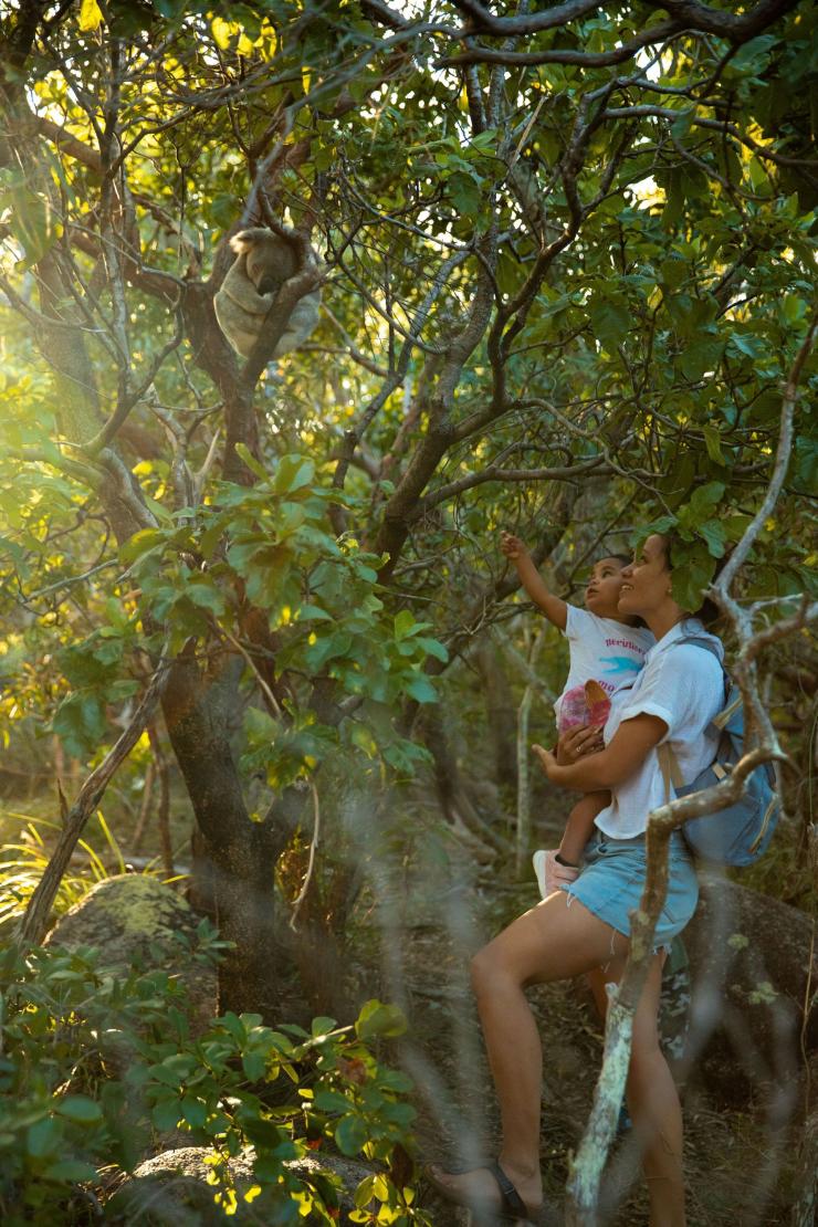 Ibu dan anaknya melihat ke atas ke koala yang ada di pohon di Magnetic Island, Townsville, Queensland © Tourism Australia 