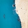 Paus sikat selatan, Head of Bight, SA © South Australian Tourism Commission