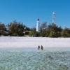 Lady Elliot Island, Great Barrier Reef, QLD © Tourism and Events Queensland