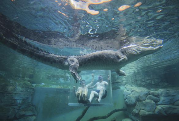 Crocosaurus Cove, Darwin, NT © Tourism Australia
