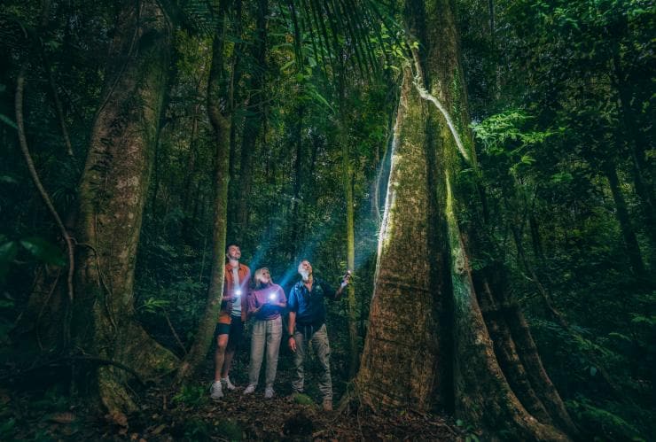 Dua orang bersama pemandu tur menyalakan obor di hutan hujan pada malam hari bersama FNQ Nature Tours, Daintree Rainforest, Queensland © Tourism and Events Queensland 