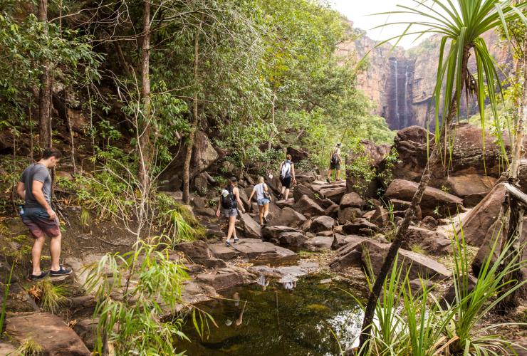 Sekelompok orang berjalan menyusuri hutan hujan dengan air terjun di kejauhan dalam tur bersama Intrepid Travel Adventure Tours, Jim Jim Falls, Kakadu National Park, Northern Territory © Damien Raggatt 