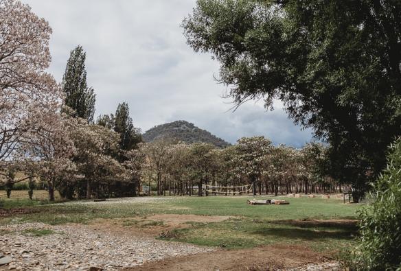 Un piccolo prato è delimitato da alberi alti e fioriti. Dall’altra parte del campo c’è una rete da badminton. Più vicino alla fotocamera c’è un gruppo di tronchi utilizzati come sedute intorno a un braciere. A destra dell’inquadratura si trova il balcone del The Orchard Lodge, Barrington Coast, New South Wales © The Orchard Lodge