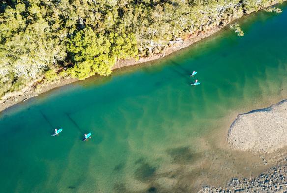 Wajaana Yaam Gumbaynggirr Adventure Tours, Coffs Harbour, New South Wales © Tourism Australia