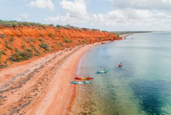 Vista dall'alto di un gruppo di persone su kayak in acque cristalline vicino a scogliere arancione brillante durante un tour con Wula Gura Nyinda Eco Cultural Adventures, Coral Coast, Western Australia © Tourism Western Australia