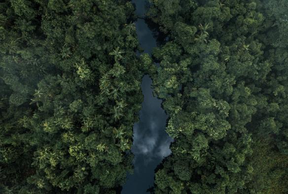 Vista dall'alto della Daintree Rainforest, Queensland © Melissa Findley/Tourism Australia