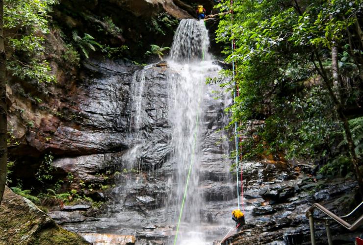 Empress Falls, Blue Mountains National Park, New South Wales © Amy Fraser
