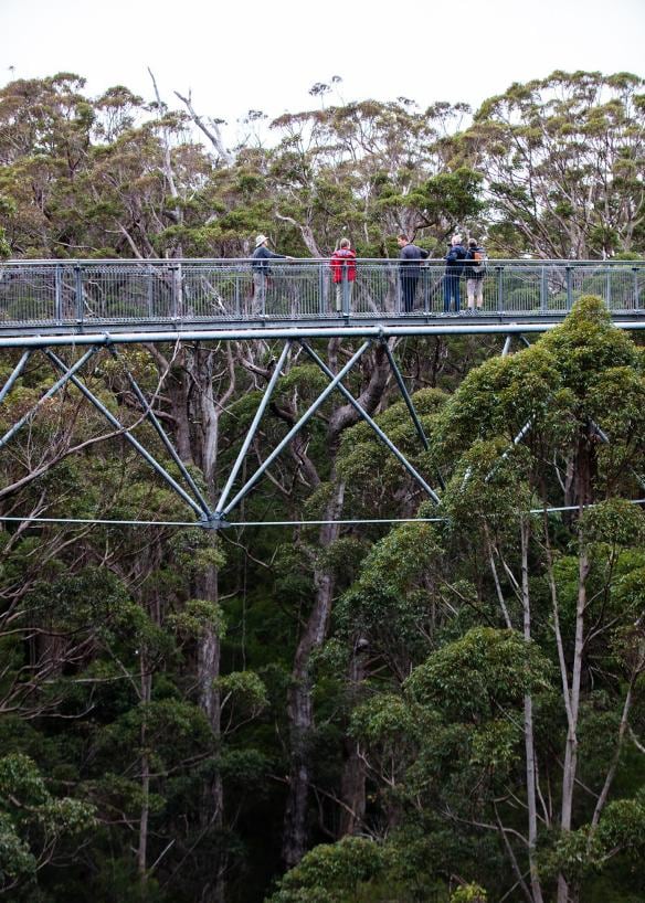 Valley of the Giants, Walpole, Western Australia © Tourism Australia