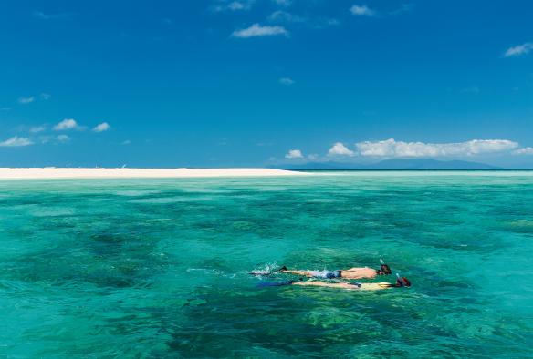 Michaelmas Cay, Grande Barriera Corallina, Queensland © Tourism and Events Queensland