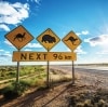 Cartello stradale che segnala la presenza di fauna selvatica, tra cui canguri e wombat, lungo l'Eyre Highway, Nullarbor, South Australia © Greg Snell, Tourism Australia