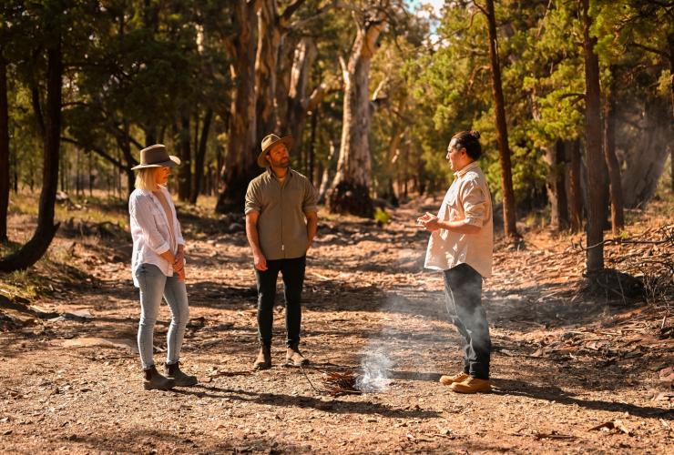 Due persone in piedi con una guida aborigena accanto al fumo di un falò nel bushland al Wilpena Pound Resort, Flinders Ranges, South Australia © Tourism Australia