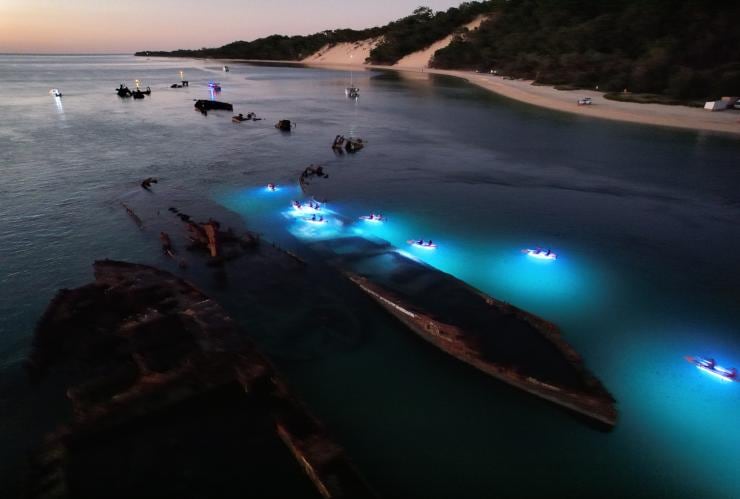 Un gruppo di persone in kayak con luci blu attorno a un relitto vicino alla spiaggia di un'isola al crepuscolo con Sunset Safaris, Moreton Island, Queensland © Sunset Safaris