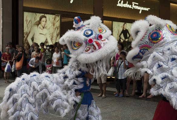 Danza del leone per il Capodanno lunare Brisbane, Queensland © Michael Greves