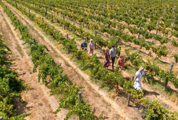 Sandalford Wines, Swan Valley, Western Australia © Tourism Australia