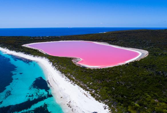 Vista aerea del Lake Hillier, Middle Island vicino a Esperance, Western Australia © Tourism Western Australia