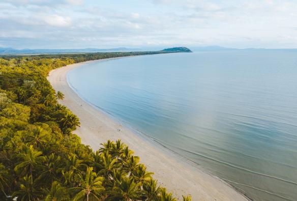 Vista della spiaggia all'alba alla Four Mile Beach, Port Douglas, Queensland © Tourism Australia