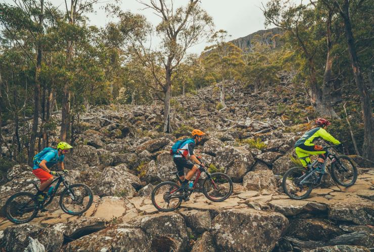 Tre ciclisti percorrono il North-south Track, Kunanyi / Mount Wellington, Hobart, Tasmania © Flow Mountain Bike