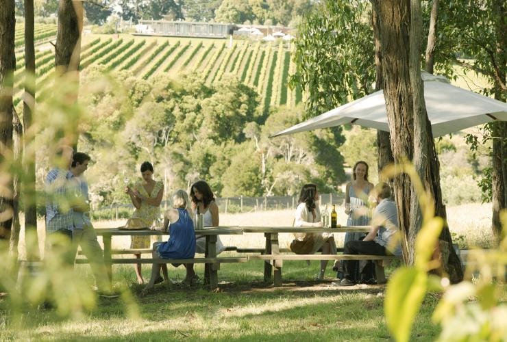 Un gruppo di persone sorseggia vino a tavoli da picnic affacciati su un vigneto, Montalto Vineyard and Olive Grove, Mornington Peninsula, Victoria © Robyn Lea/Visit Victoria