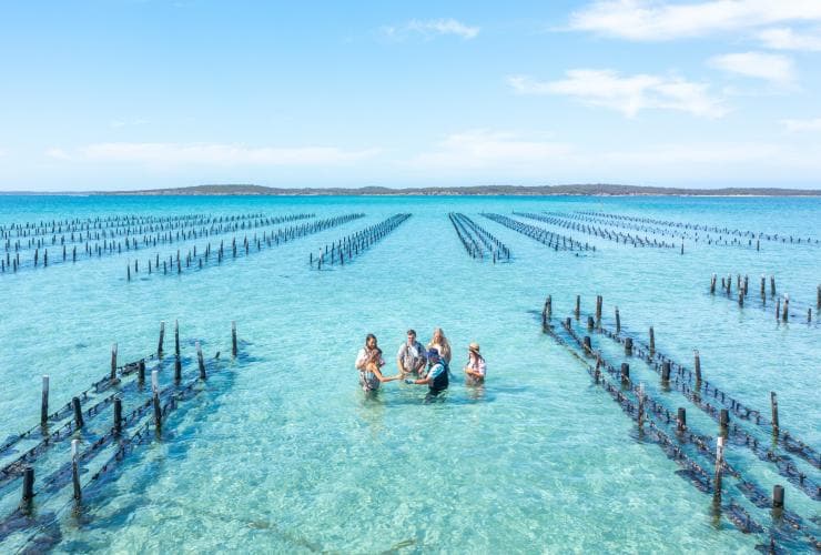 Foto dall'alto di ospiti che girano tra le griglie delle ostriche con Experience Coffin Bay, Eyre Peninsula, South Australia © Tourism Australia
